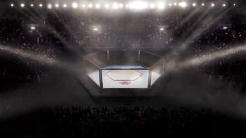 Straight Blast Gym To Open Inchicore Venue Featuring Ireland’s Only Full-Sized MMA Octagon