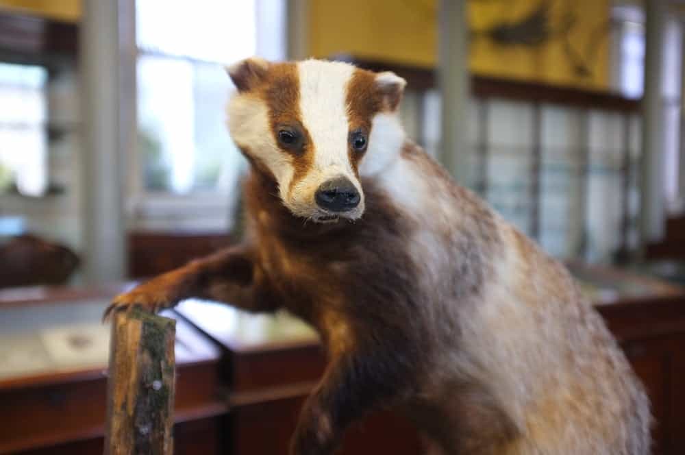 Seven free things to do in Dublin this month