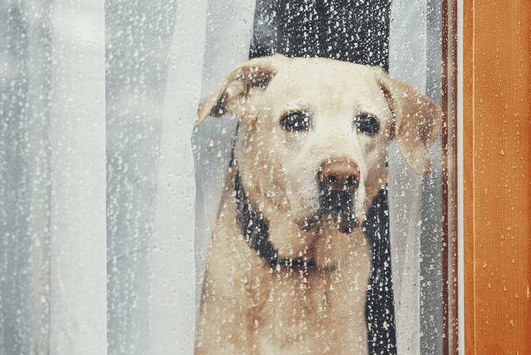 There’s plenty of rain in store for Dublin this week so keep the umbrella handy