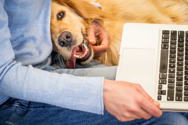 New report reveals top moments that sparked kindness online last year 