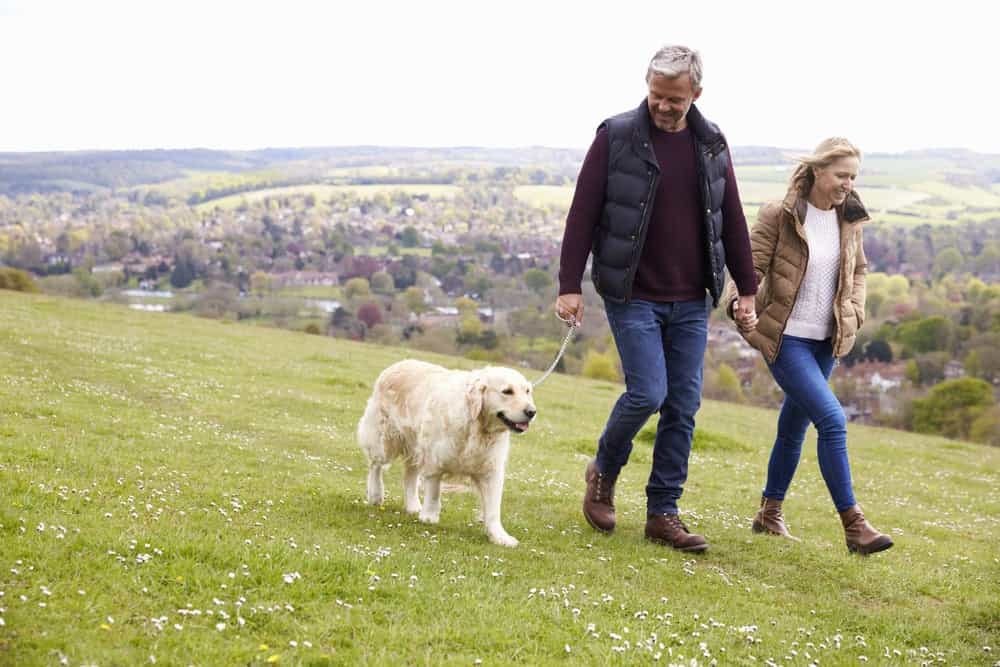 Five facts and myths about cholesterol