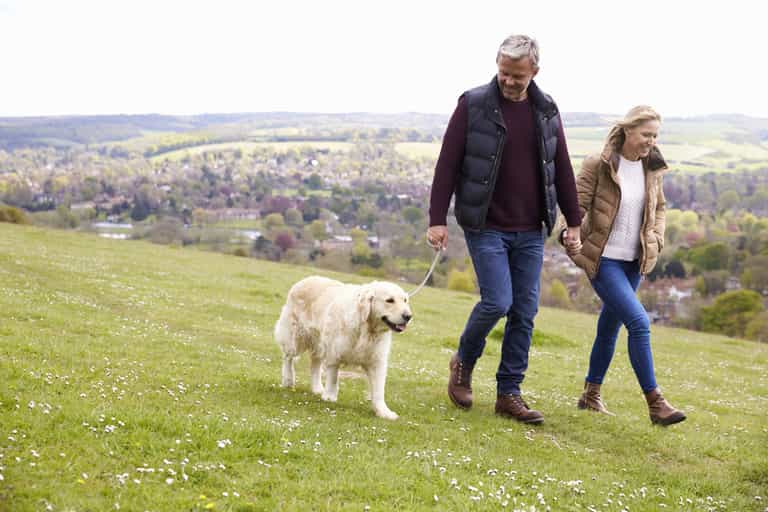 Five facts and myths about cholesterol