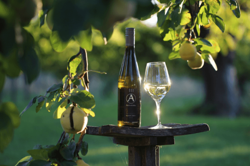 The Amazing O’Briens Annual Wine Sale: Six Top Picks You Should Try