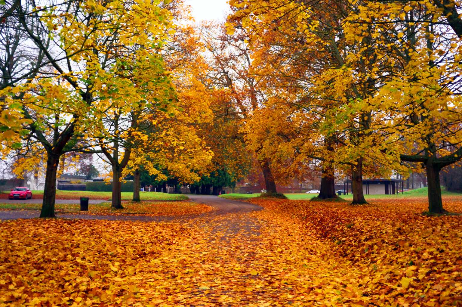 10 of the best places to capture perfect autumnal photos in Dublin
