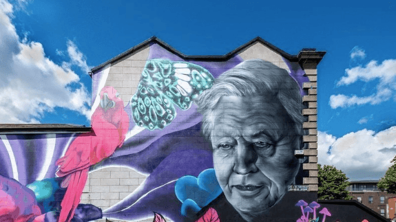 A Petition Has Been Started To Save Subset’s David Attenborough Mural