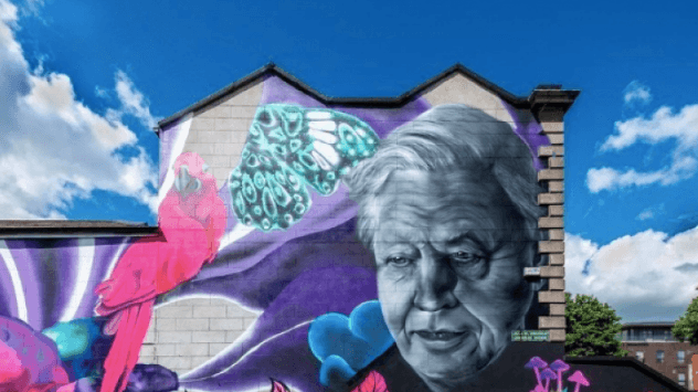 Subset Has Issued A Strong Statement Reacting To The Repeated Removal Of Its Work