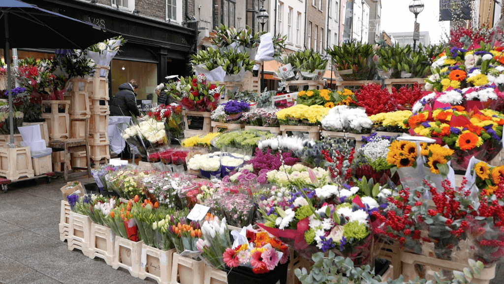 Firm withdraws complaint about Grafton Street traders and apologises to flower sellers