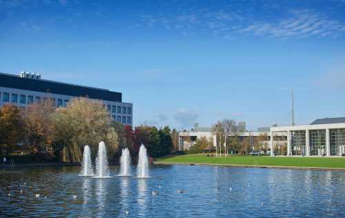 UCD named as Sunday Times University of the Year