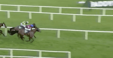 Dramatic end to Leopardstown race inspires amazing commentary