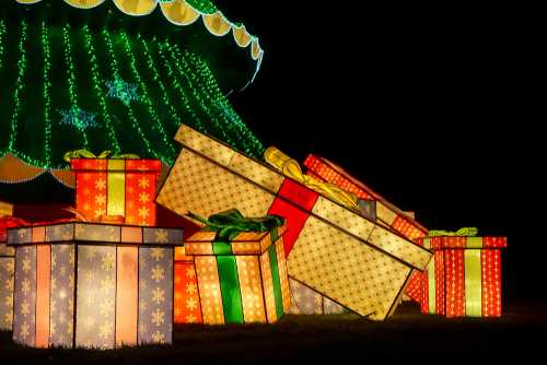 Dublin Zoo cancels Wild Lights show today over weather concerns