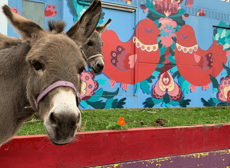 10 of the best things to do in Dublin with kids