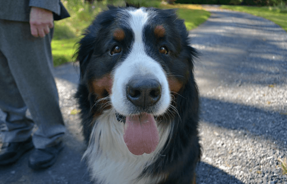 Brod only has eyes for Michael D and it’s giving us all the warm fuzzies