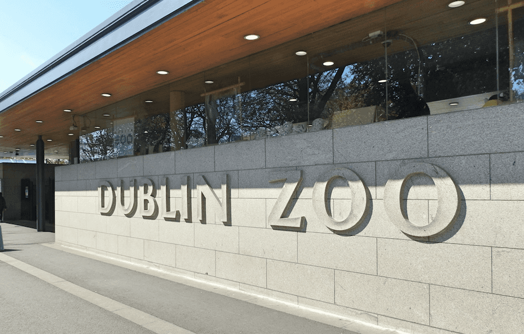 Dublin Zoo will implement ‘contingency staffing plan’ amid Covid-19 crisis