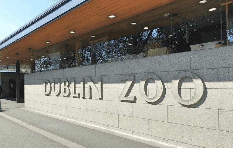 Dublin Zoo will implement ‘contingency staffing plan’ amid Covid-19 crisis