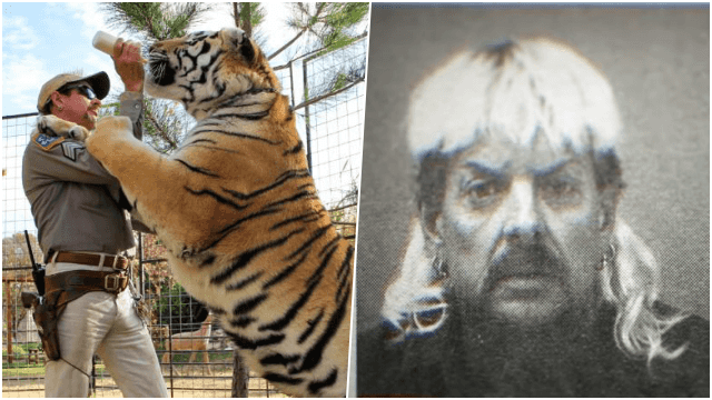 Binge-watching of new Netflix series Tiger King has started early