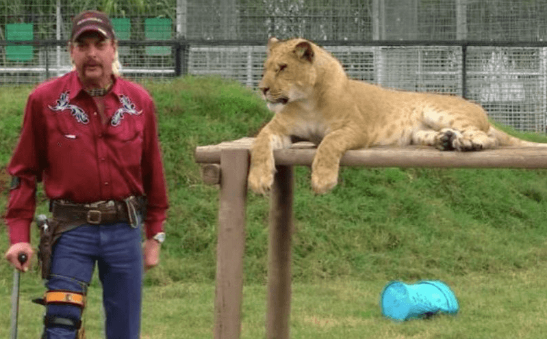 Fans unsure about rumoured choice to play Joe Exotic in Tiger King movie