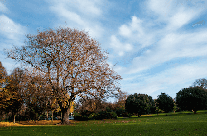 Lord Mayor issues statement saying parks could close if people sit in groups