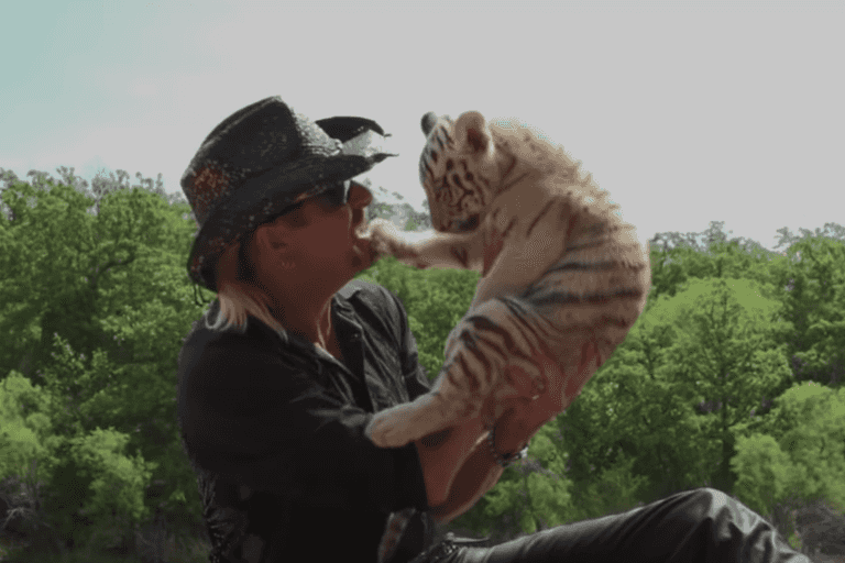 You can take part in Ireland’s biggest Tiger King quiz this weekend