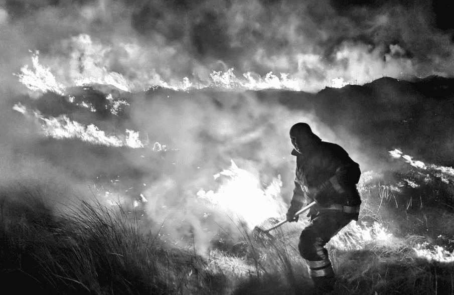 PICS: Firefighters dealt with a large grass fire on Bull Island last night