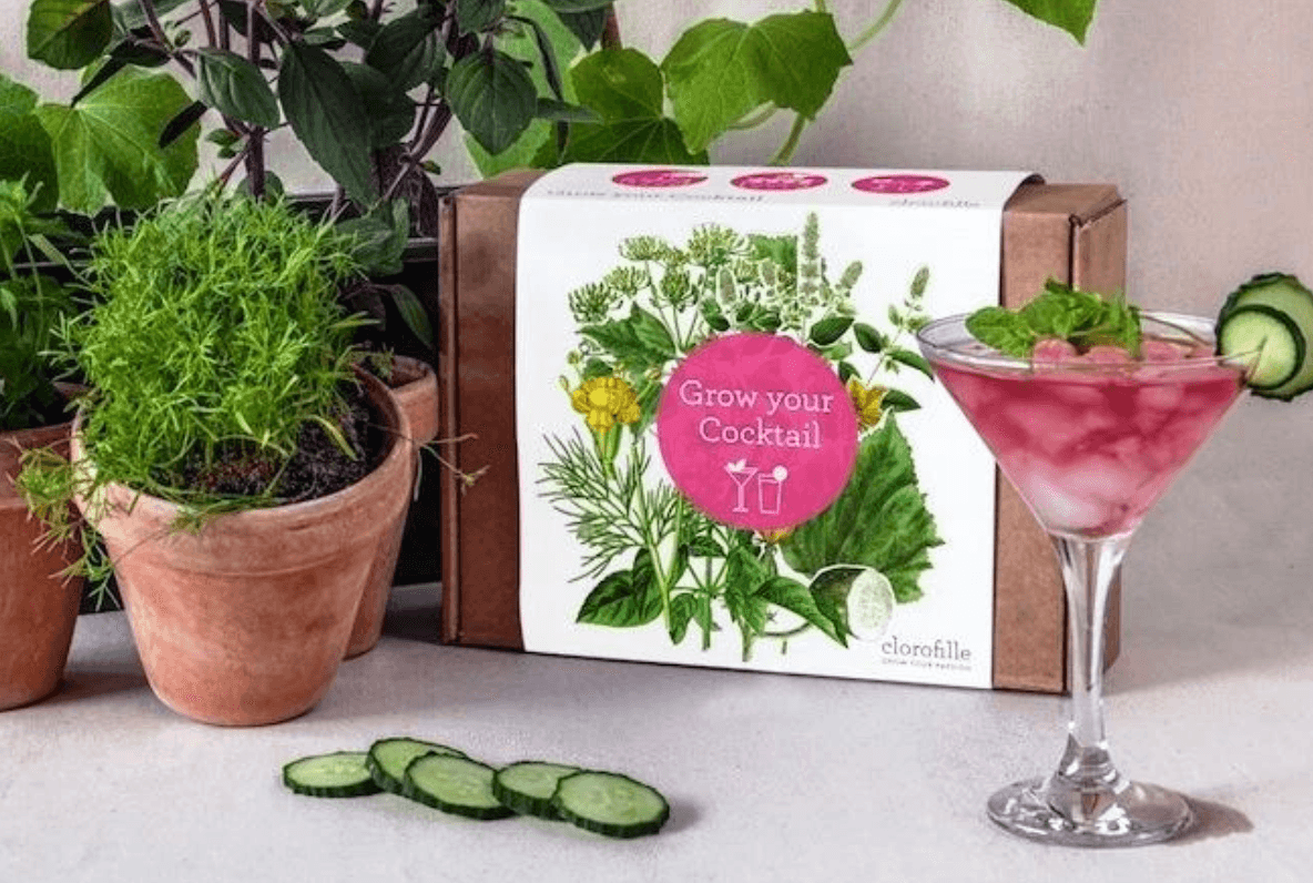 Reuzi selling grow your own cocktail kits and they’re extremely cool