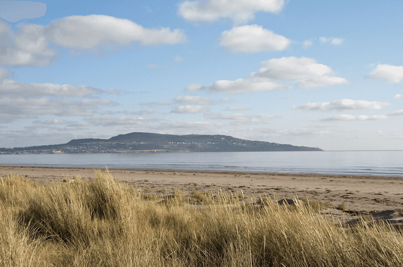 Swimming ban in place for three Dublin beaches over sewage concerns