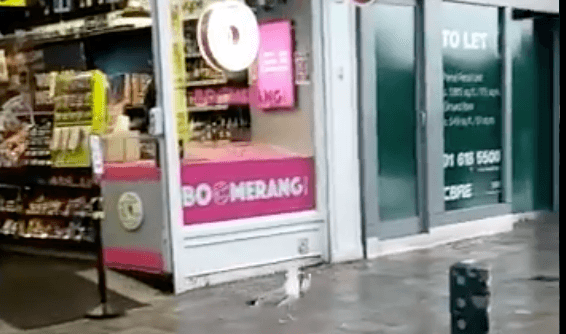 Video shows seagull shoplifting from Londis on Grafton Street