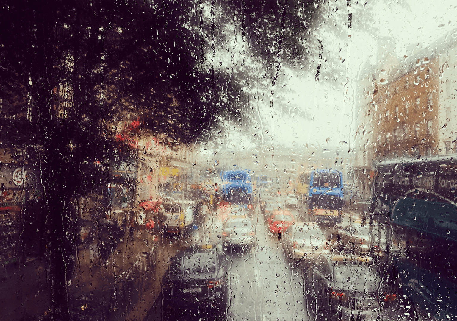 ‘Unseasonably windy’ conditions to hit Howth Head this weekend