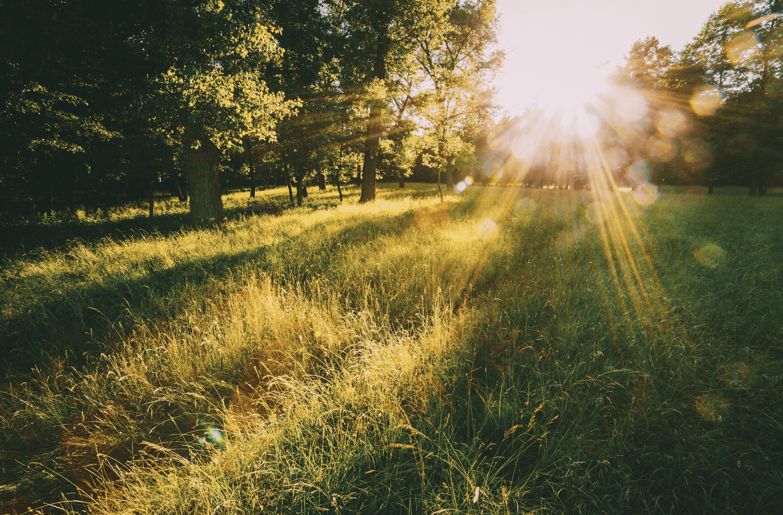 Warm weather to make a welcome return to Dublin this week