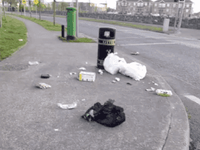 ‘Unacceptable’ – Fingal video shows litter violations in various locations this morning