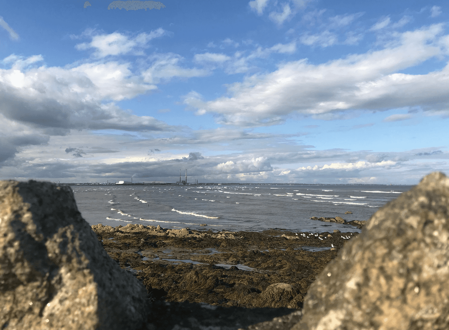 Several more ‘do not swim’ notices issued for Dublin bathing areas