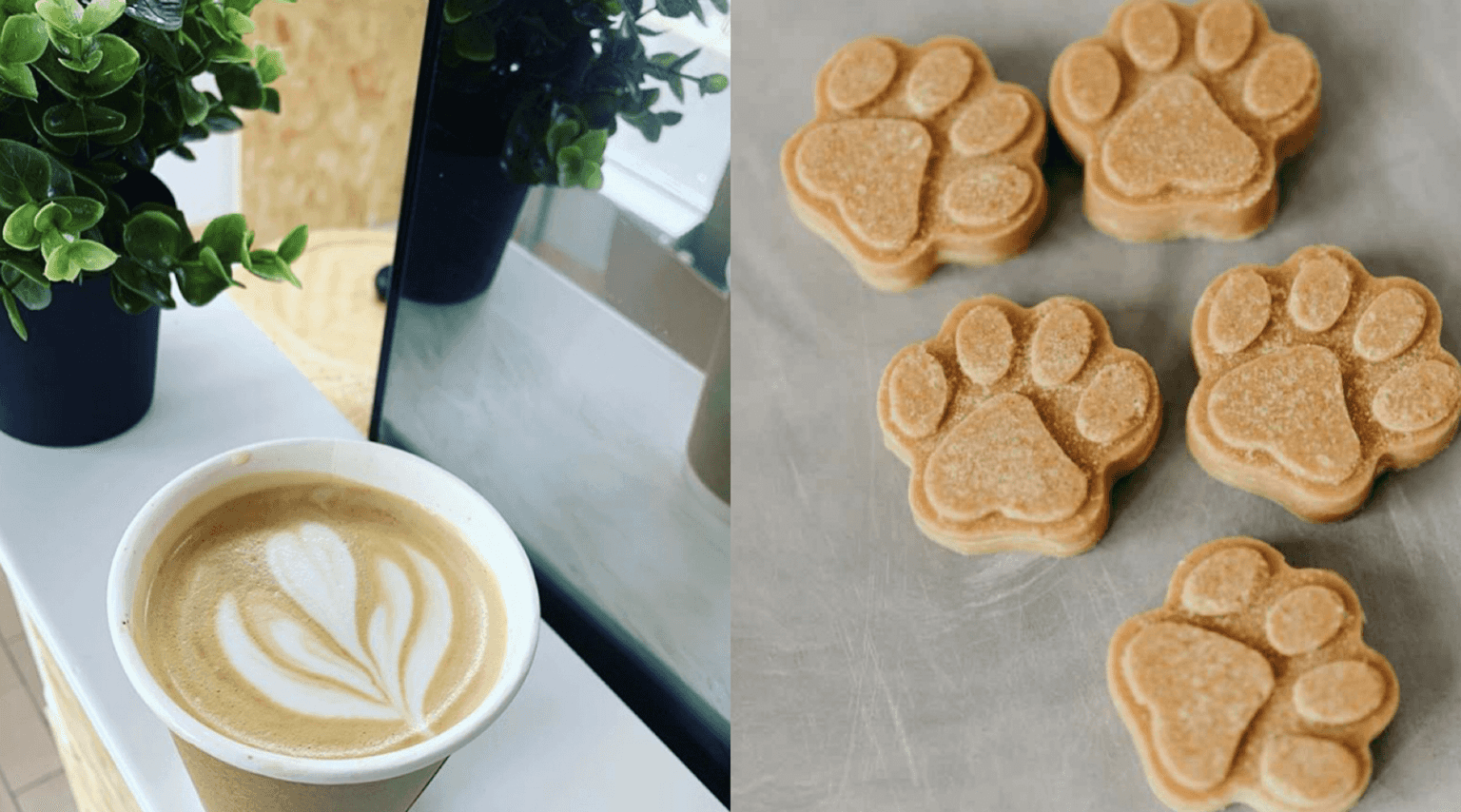 This new dog-friendly Dublin café has free treats for all visiting pup-stomers