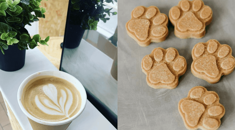 This new dog-friendly Dublin café has free treats for all visiting pup-stomers