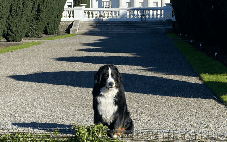 PICS: This photo of Bród without Síoda has sent us right back to heartbreak city again