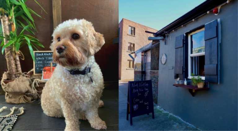 This dog-friendly café has just opened at a new home along the canal