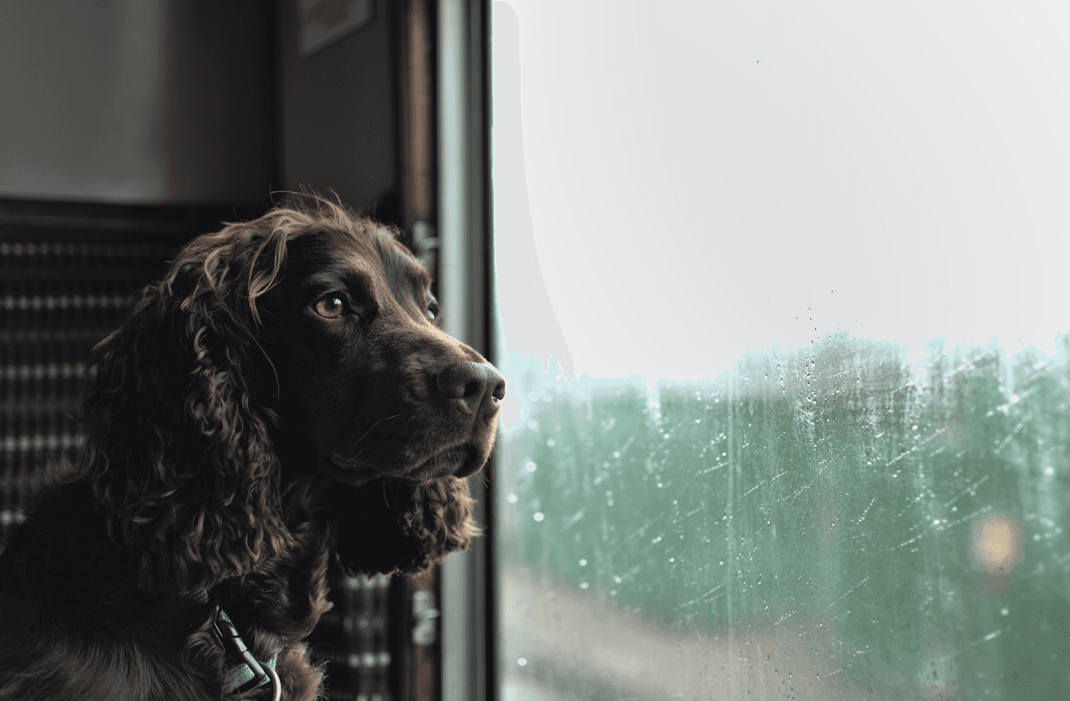 Met Éireann says Ireland’s  weather will be in the ‘battleground zone’ this week 