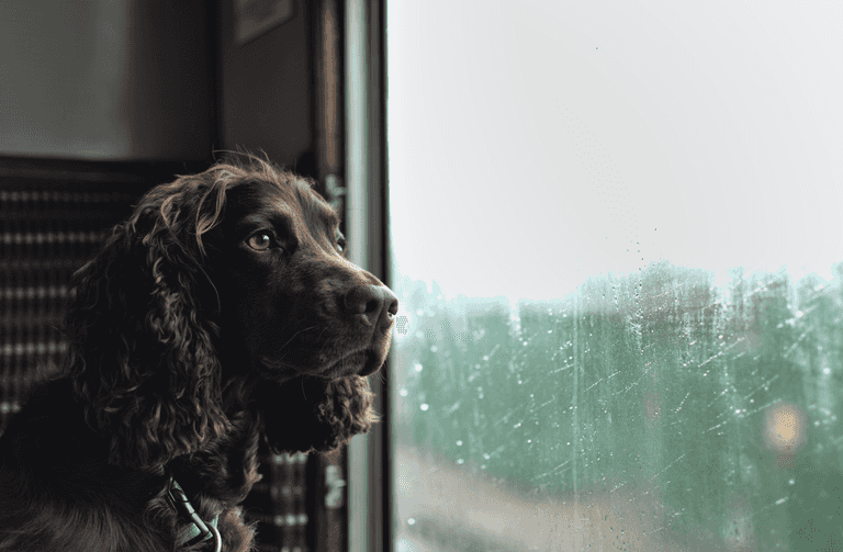 Met Éireann says Ireland’s  weather will be in the ‘battleground zone’ this week 