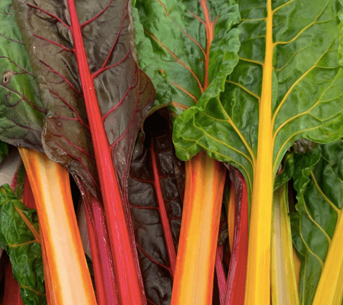 There is a big Christmas farmer’s market taking place in Dublin this weekend
