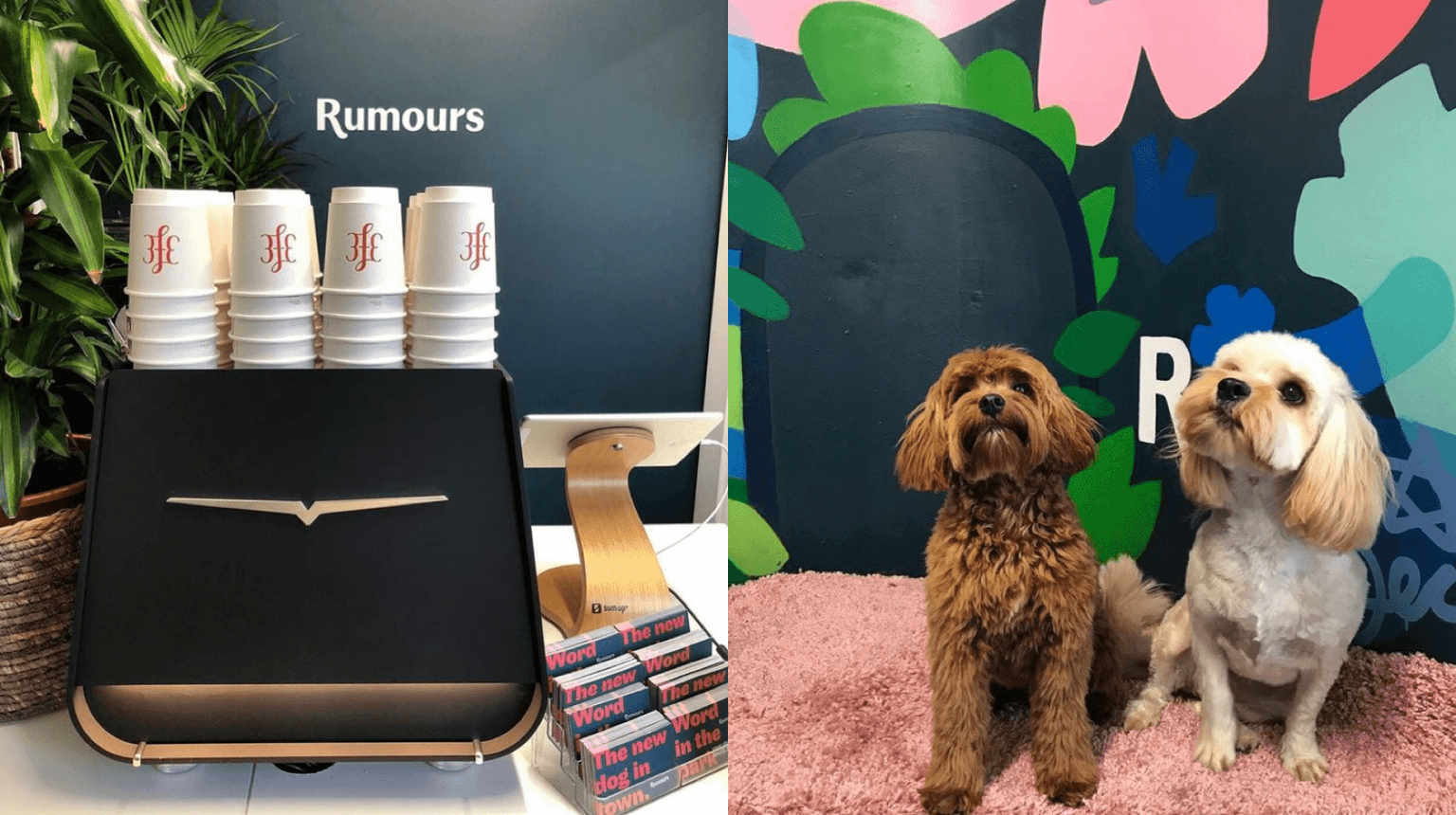 This dog groomers turned café combines two of our greatest loves