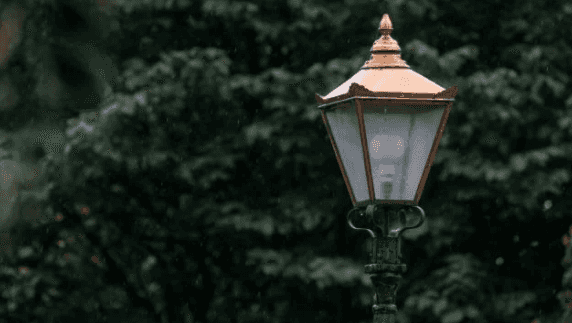 Phoenix Park lighting proposal rejected as people “not encouraged to run in the park at night”