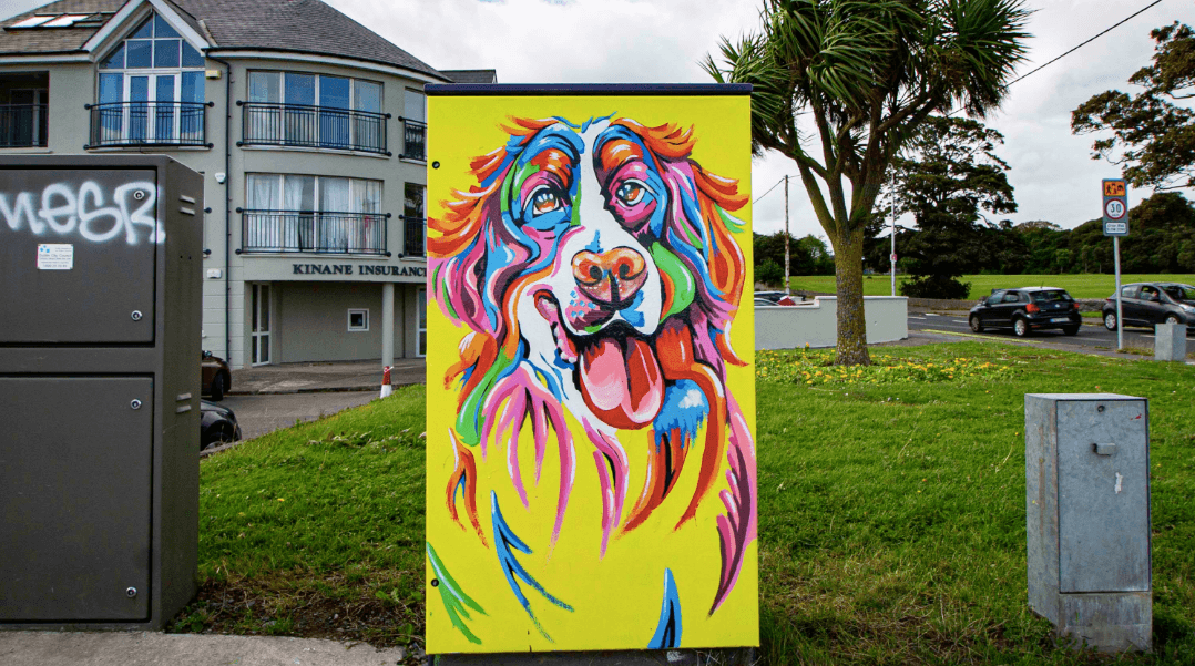 Artists wanted to create works on 100 boxes across County Dublin this summer