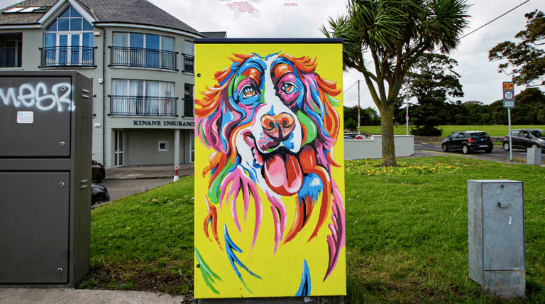 Artists wanted to create works on 100 boxes across County Dublin this summer