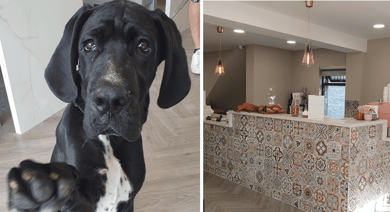 A new pup-friendly and Insta-worthy cafe has opened in Clonskeagh!