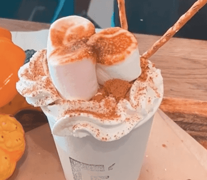 Swap your typical pumpkin spice latte for a s’more pumpkin spice hot chocolate!