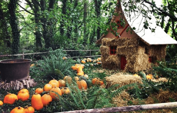 5 pumpkin patches near Dublin to head to with the fam during mid term
