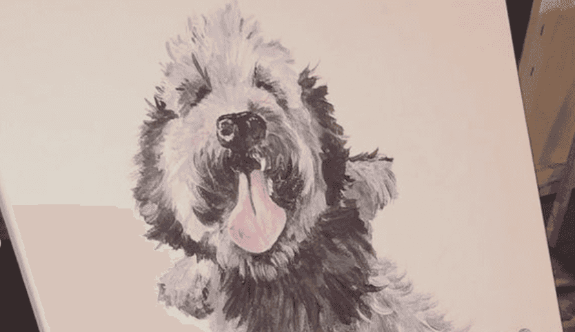 The Doghouse Howth to host Paint Your Pet event