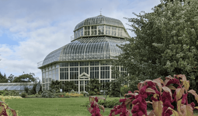 7 budget friendly options for Mother’s Day