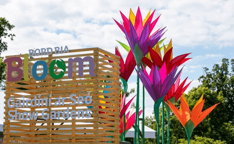 Everything you need to know about Bloom 2023