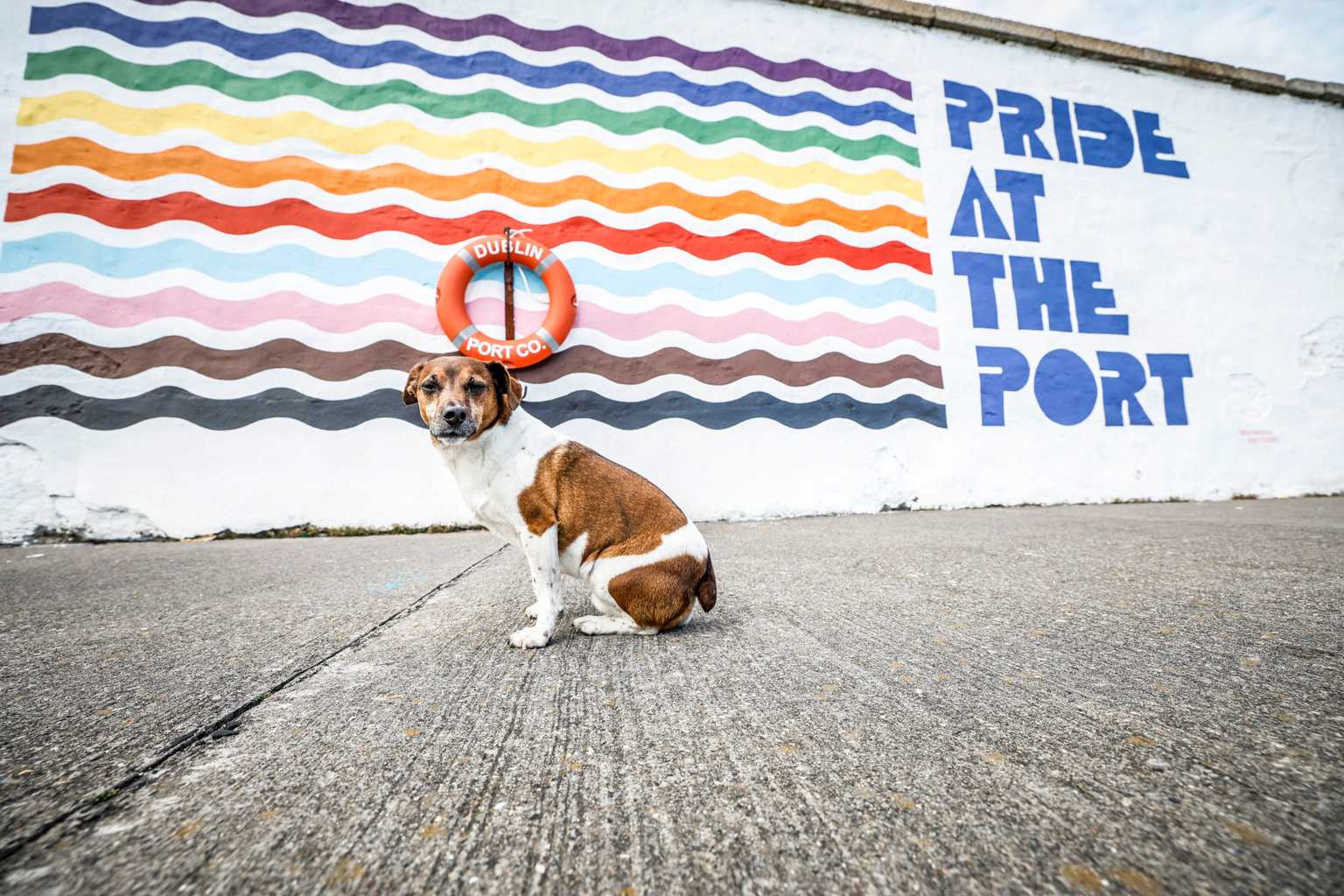 Dublin Port Co paint the town rainbow with this new Pride mural