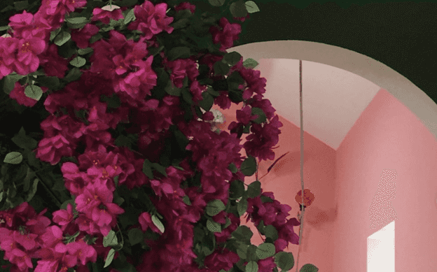 A Garden of Eden inspired café launches in Blanchardstown this weekend