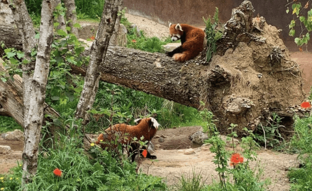 14 Dublin events to enjoy this summer season